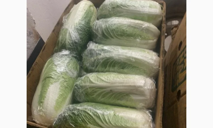 Пекинская капуста - фото № 7