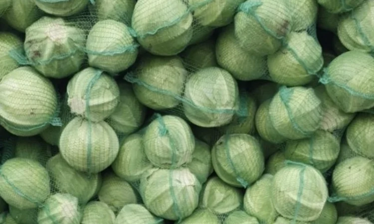 Капуста - фото № 4