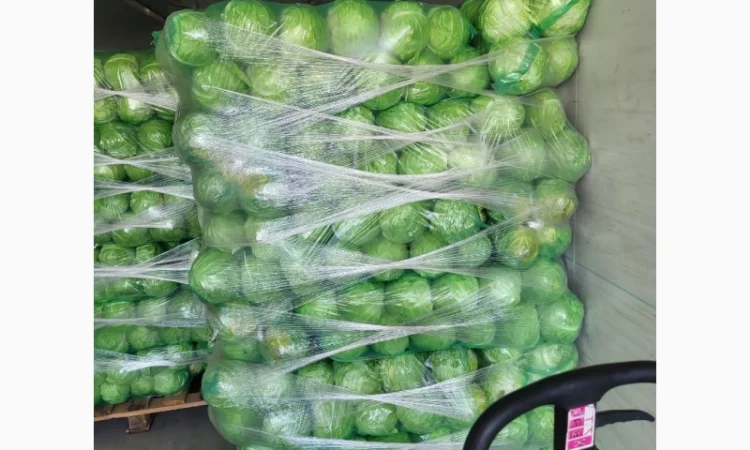 Капуста молодая (Македония) - фото № 3