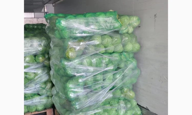 Молодая капуста - фото № 8