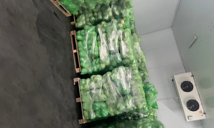 Молодая капуста - фото № 10