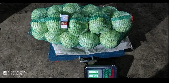 Продам капусту білоголову та червоноголову. Вага 1-2.5кг. Тел.Q975816442 - фото № 1