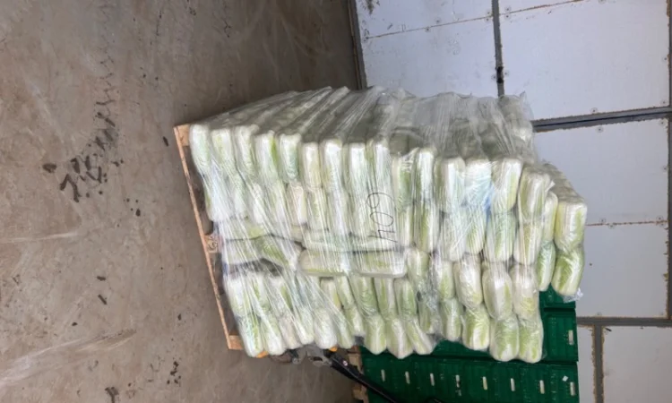 Продам Пікінку - фото № 2