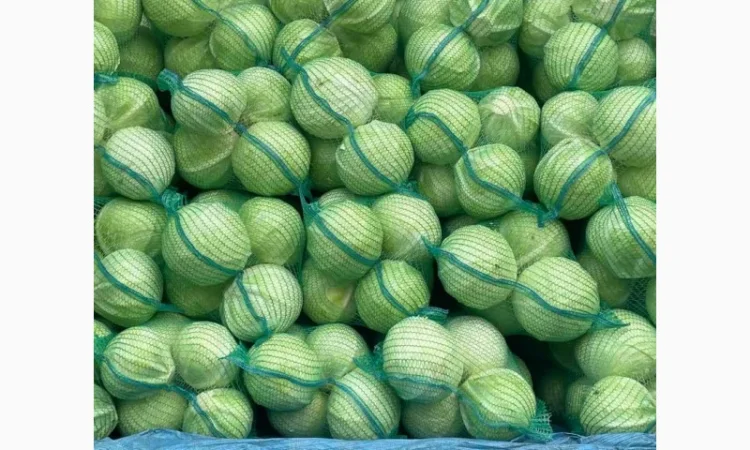 Продам капусту «Сторідор» - фото № 3