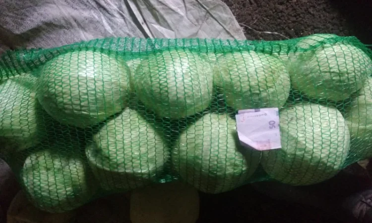 Продам капусту - фото № 1