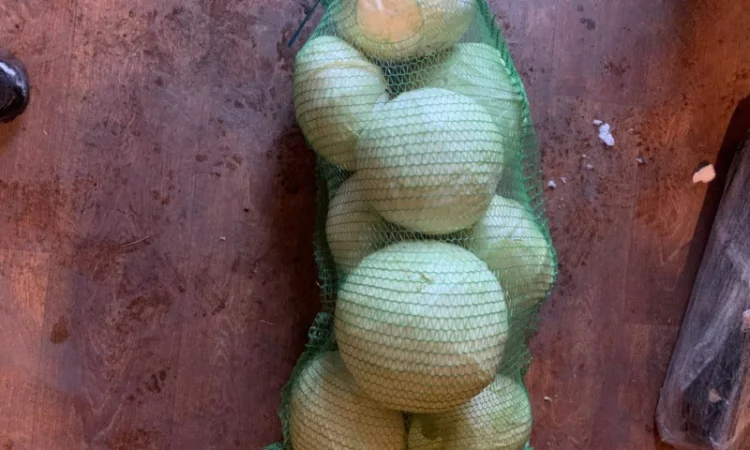 Продам капусту малими обʼємами сорт агресор - фото № 3