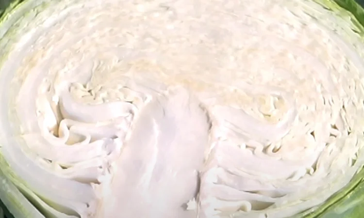 Продам Капусту - фото № 1