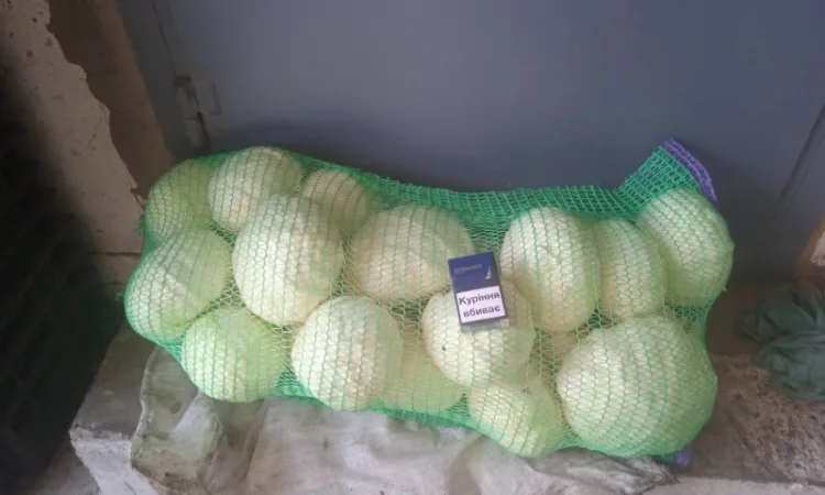 Продам Капусту - фото № 3