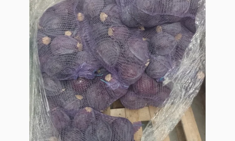 Продам краснокочанную капусту - фото № 2