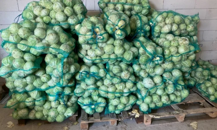 Продам капусту до 1 кг - фото № 1