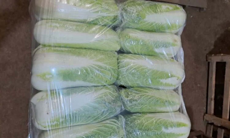 Продам Пекінку - фото № 2