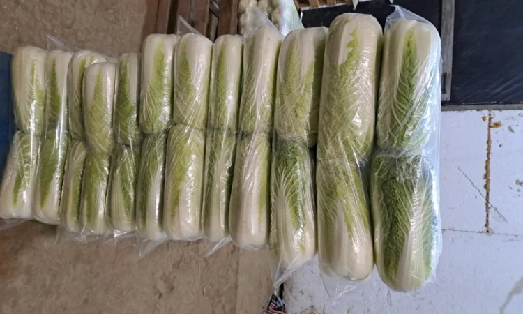 Продам Пекінку - фото № 3