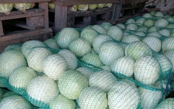 Продам капусту - фото № 1