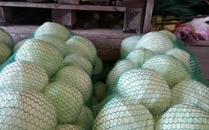 Продам капусту - фото № 2