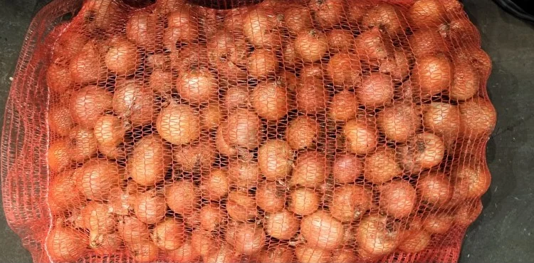 Цибуля сорту Nation від виробника - фото № 5