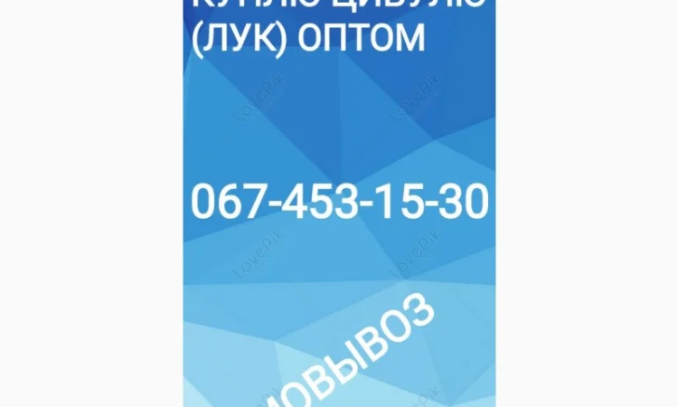 Покупка цибулі оптом - фото № 1