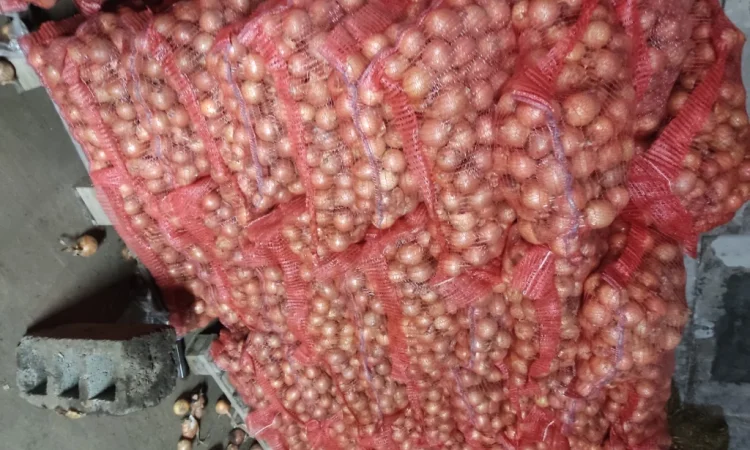 Продаю цибулю 5-7 - фото № 1