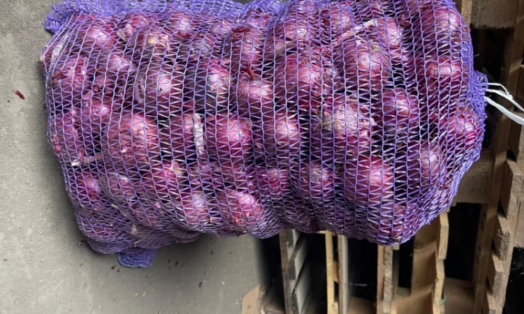 Лук сорт Марс від виробника - фото № 2