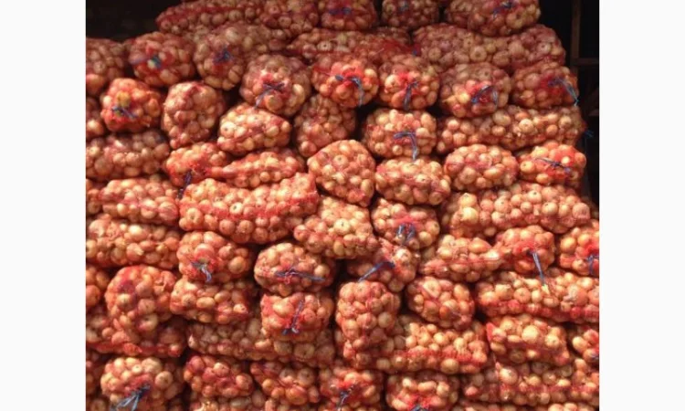 Продаж лука штутгарт на перо - фото № 1