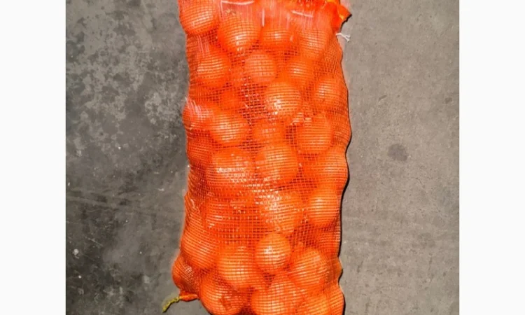 Цибуля жовта Єгипет в упаковках по 10 кг та 25 кг - фото № 2