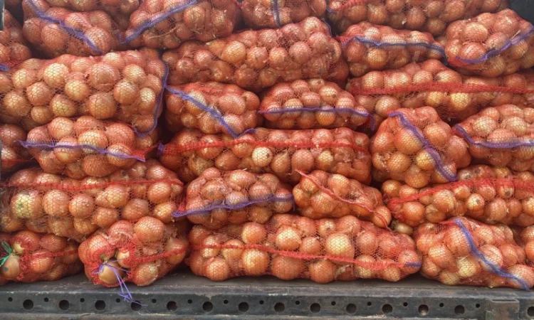 Продаж цибулі оптом - фото № 6