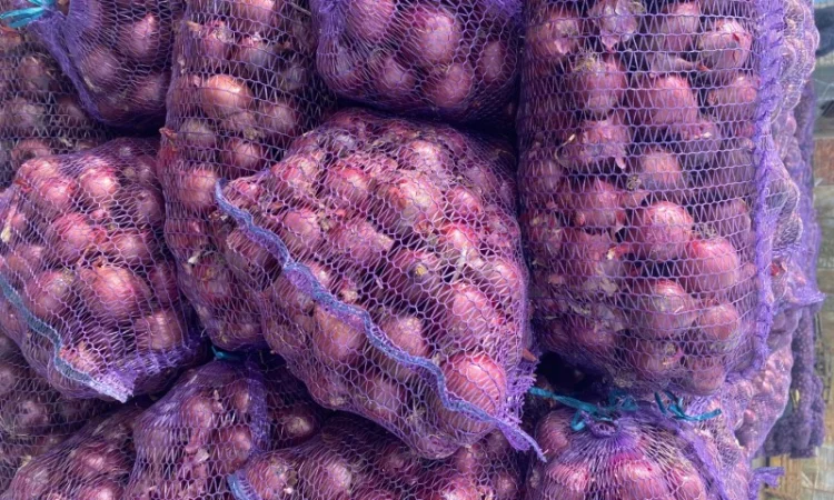 Цибуля оптом фіолетова, червона, МАРС, Харків - фото № 4