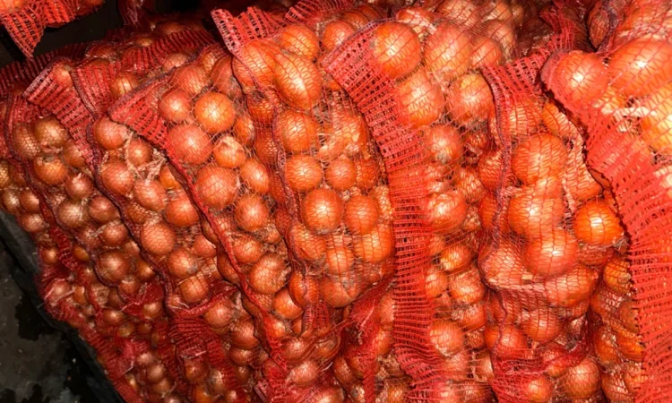 Продаю цибулю калібр 5-7 оптом - фото № 1