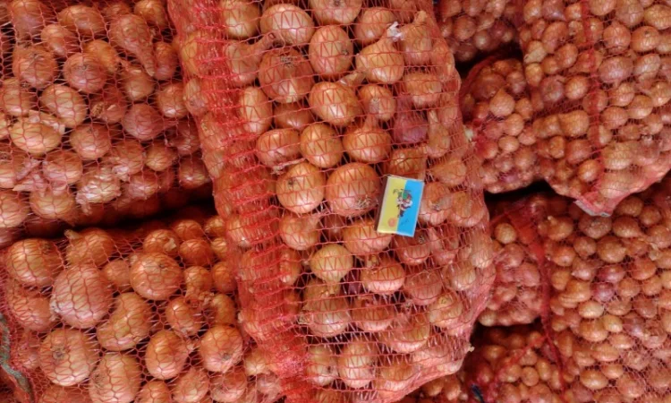 Якісний лук Штутгарт на перо - фото № 6