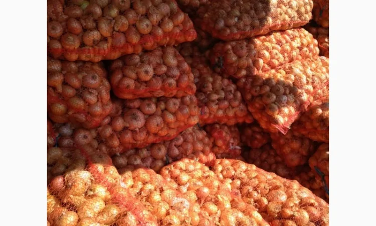 Якісний лук Штутгарт на перо - фото № 1