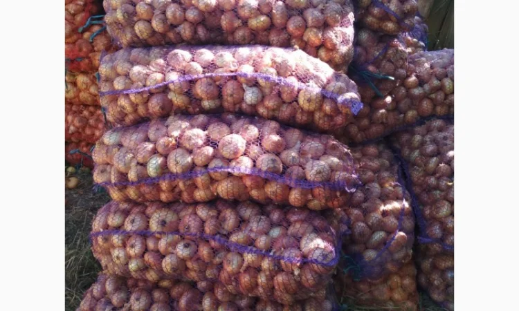 Якісний лук Штутгарт на перо - фото № 2