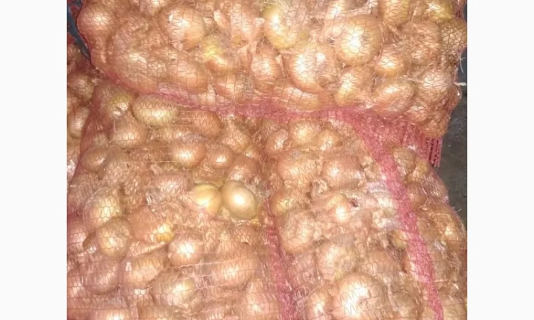 Якісний лук Штутгарт на перо - фото № 3