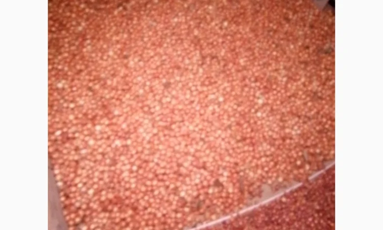 Продам лук-севок - фото № 3