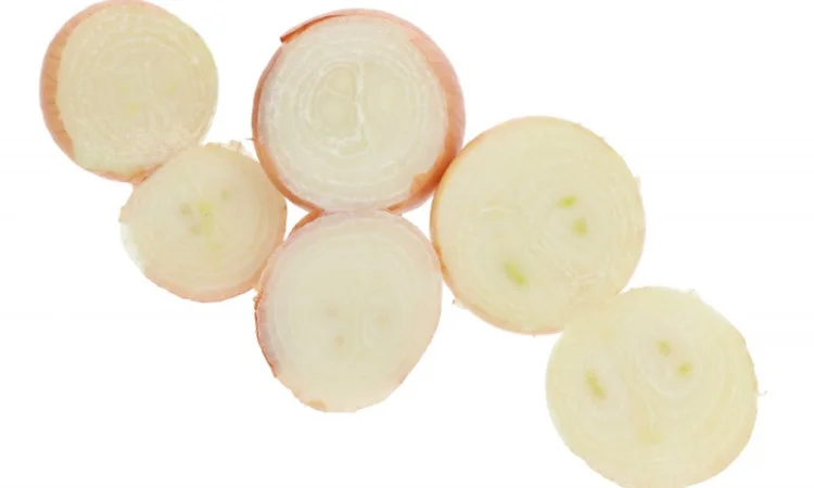 Цибуля Штутгартен фракція 2,5-6 см - фото № 2