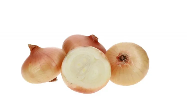 Цибуля Штутгартен фракція 2,5-6 см - фото № 3