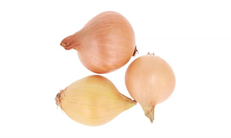 Цибуля Штутгартен фракція 2,5-6 см - фото № 4