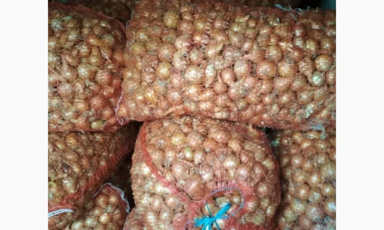 Продажа лука на перо Штутгартен Ризен - фото № 3