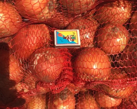 Гуртовий продаж товарної цибулі - фото № 1