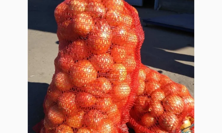 Оптовий продаж цибулі - фото № 1