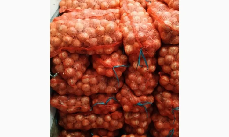 Продаж товарної цибулі оптом - фото № 1