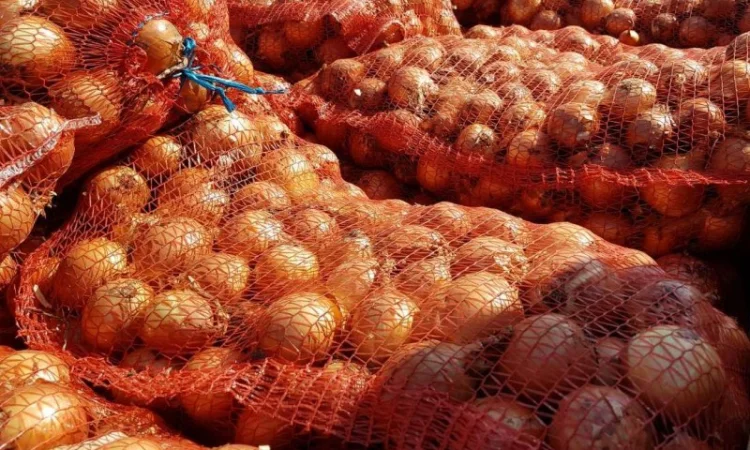 Продаж лука сорту братко - фото № 1