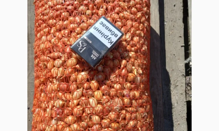 Продаём лук севок на постоянной основе - фото № 13