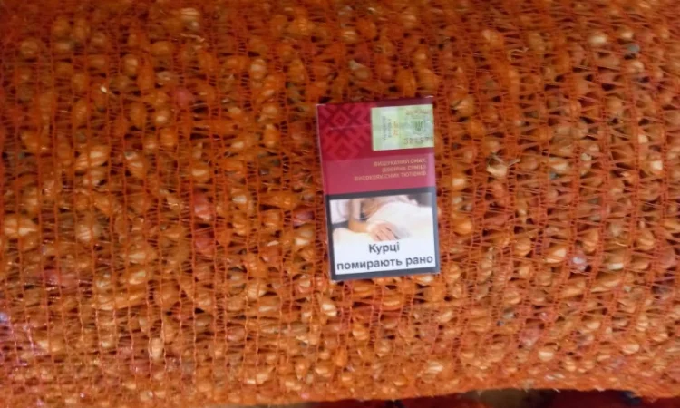 Продаём лук севок на постоянной основе - фото № 9