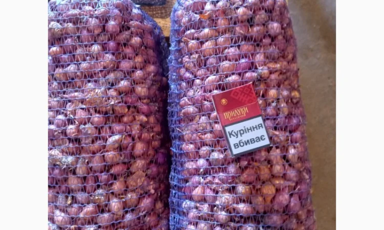 Продаём лук севок на постоянной основе - фото № 10