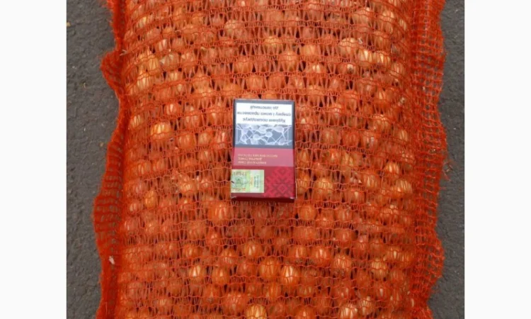 Продаём лук севок на постоянной основе - фото № 17