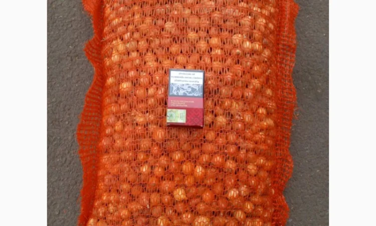 Продаём лук севок на постоянной основе - фото № 15