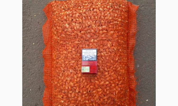 Продаём лук севок на постоянной основе - фото № 14