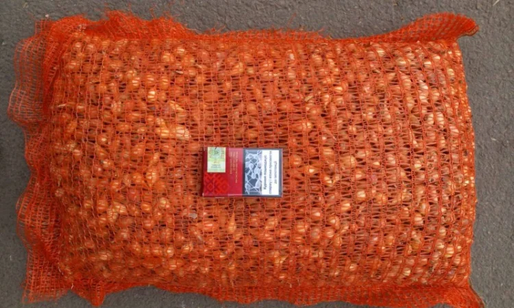 Продаём лук севок на постоянной основе - фото № 1