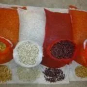 Продаём лук севок на постоянной основе - фото № 4