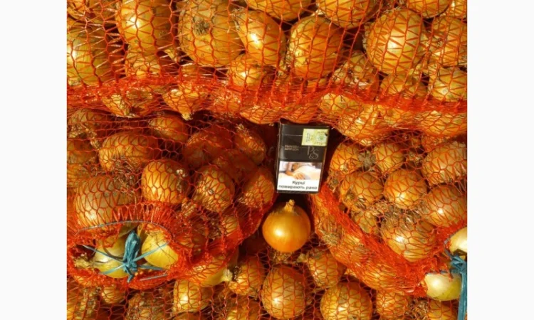 Продаём лук севок на постоянной основе - фото № 3