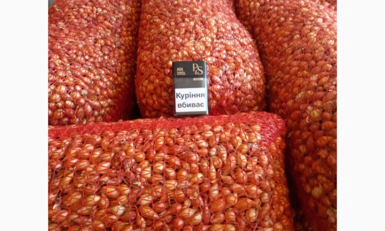 Продаём лук севок на постоянной основе - фото № 11